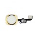 iPhone 6S Home Button Flex Cable - All